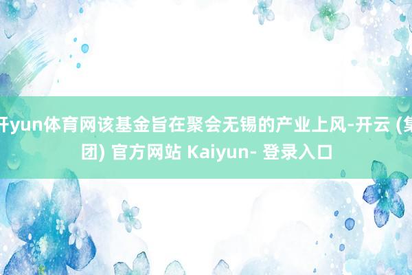 开yun体育网该基金旨在聚会无锡的产业上风-开云 (集团) 官方网站 Kaiyun- 登录入口