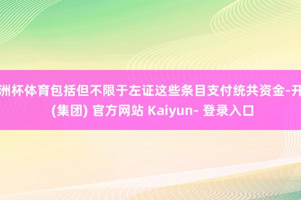 欧洲杯体育包括但不限于左证这些条目支付统共资金-开云 (集团) 官方网站 Kaiyun- 登录入口